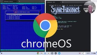 Synchronet and SyncTERM for Linux on Chromebook